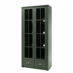 Ridgevalley Vitrine Beauville II - Vert mousse / Doré